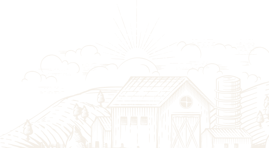 Alo Adak | Online Adaklık Kurban | Akika Kurbanı | Şükür Kurbanı | Afyon Adaklık Kurban