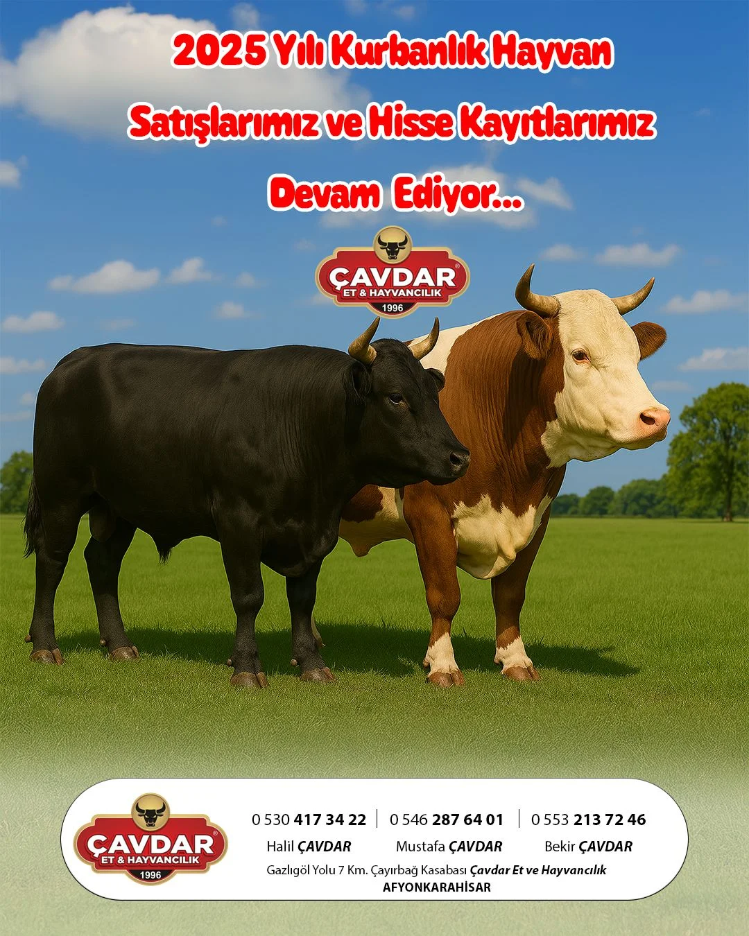 Alo Adak | Online Adaklık Kurban | Akika Kurbanı | Şükür Kurbanı | Afyon Adaklık Kurban