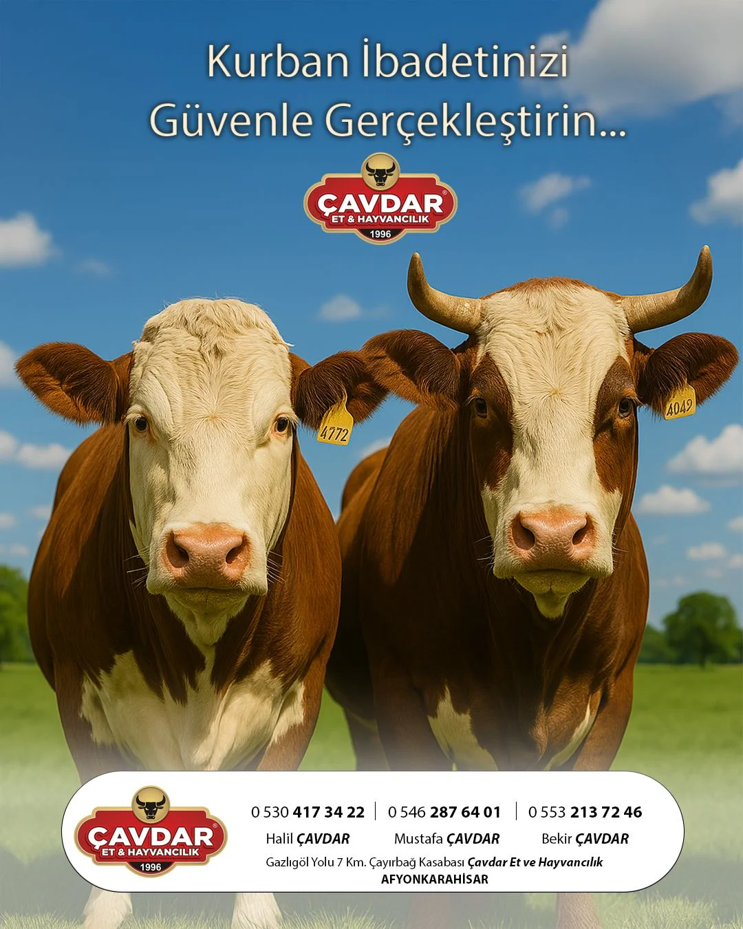 Alo Adak | Online Adaklık Kurban | Akika Kurbanı | Şükür Kurbanı | Afyon Adaklık Kurban