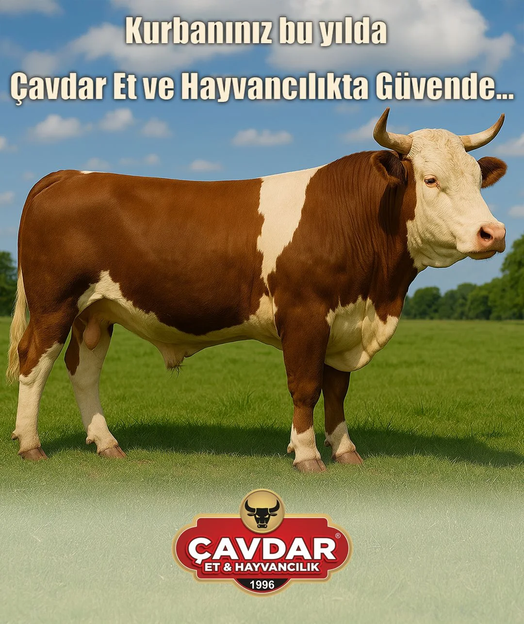 Alo Adak | Online Adaklık Kurban | Akika Kurbanı | Şükür Kurbanı | Afyon Adaklık Kurban